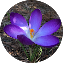 Elżbieta R profile picture